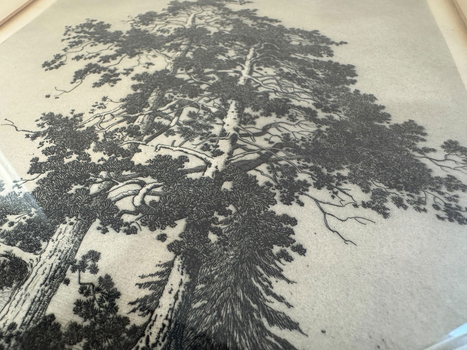 George Elbert Burr Etching - 2