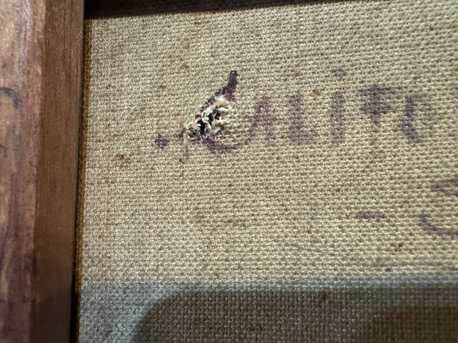 Andrew G. Paul Original Oil - 6