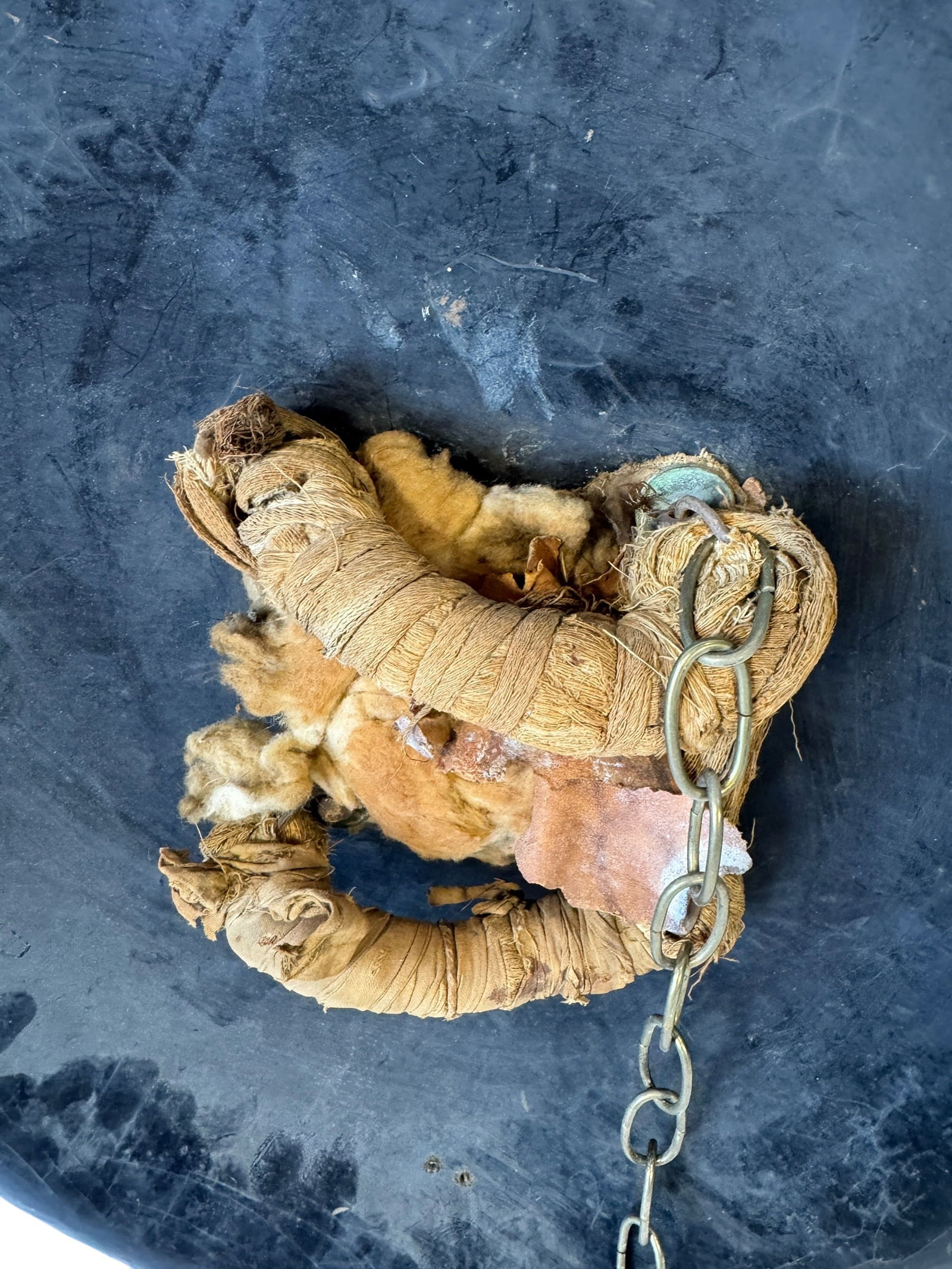 Indo-Persian Dahl Shield - 4