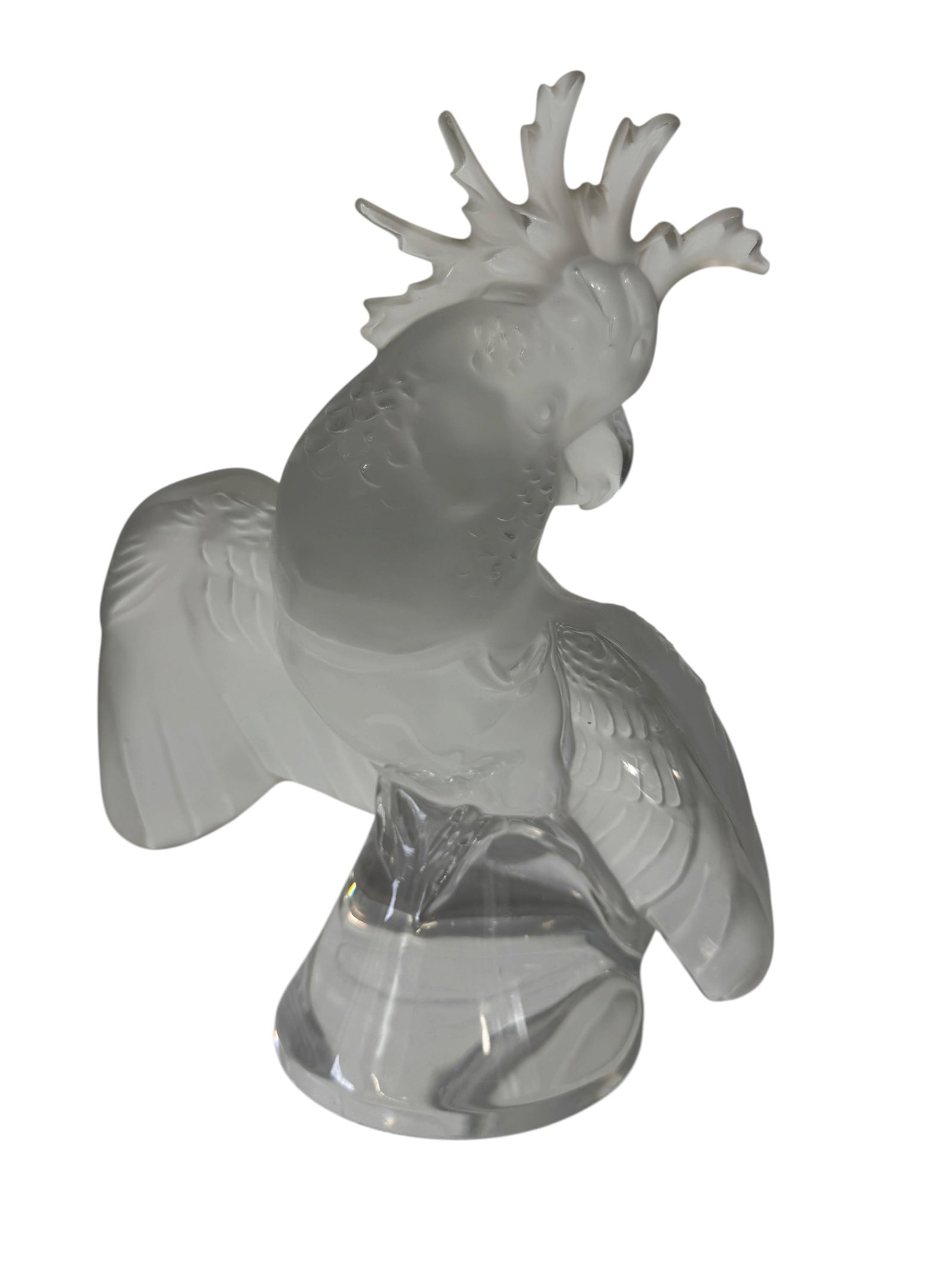 Signed Large Lalique Crystal Cockatoo: Photos are part of the description and should tell the whole story.