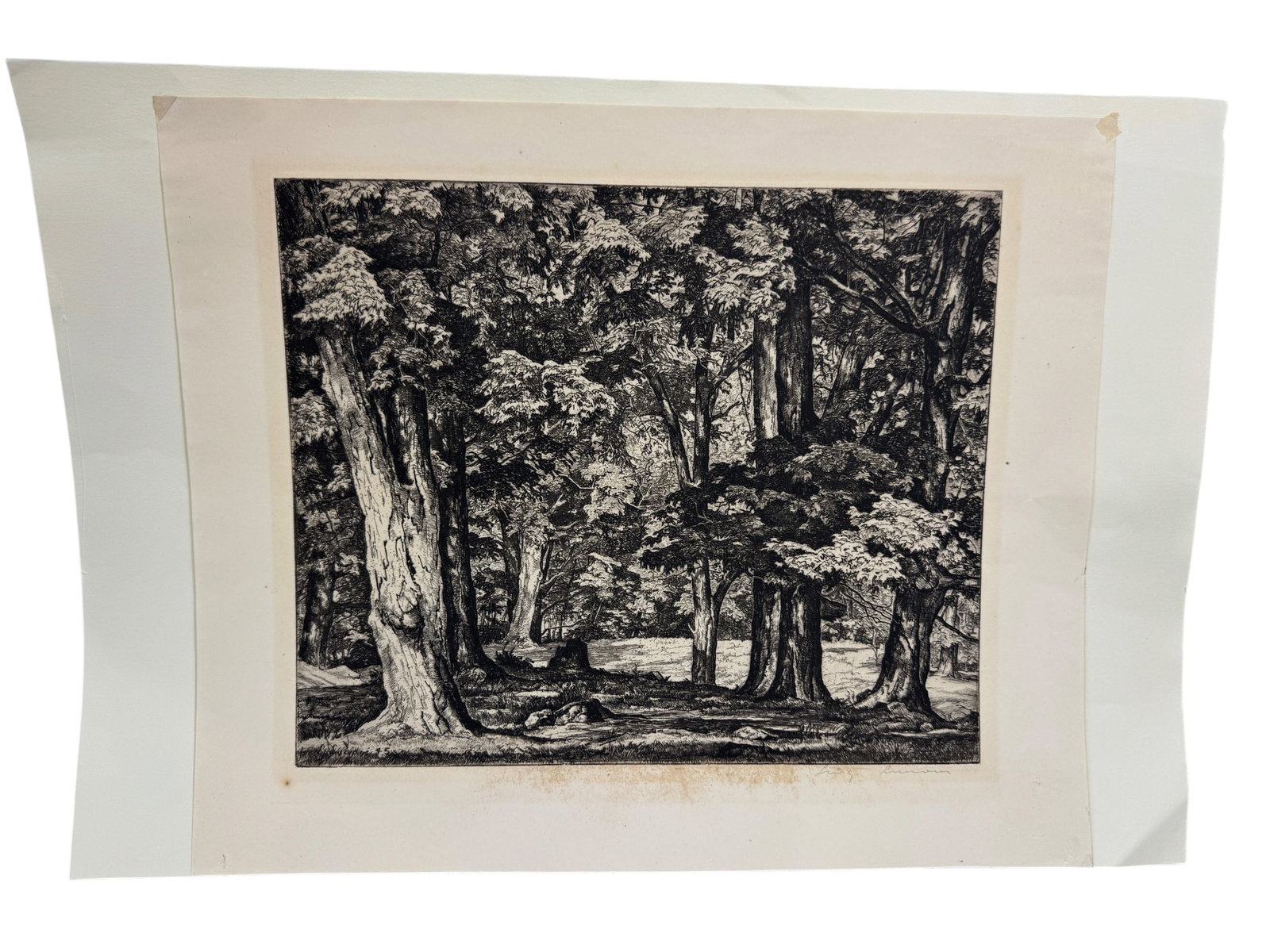 Luigi Lucioni "Tree Tapestry" 1945 Etching (1 of 5)