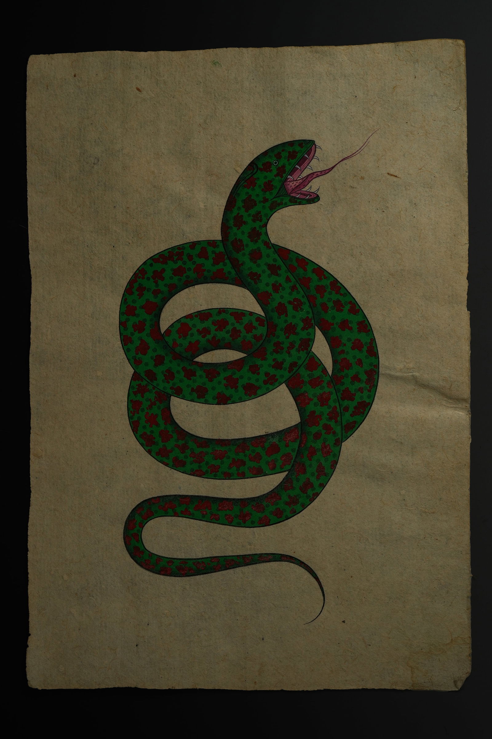 An Indian Tantric Illustrated Folio Depicting a Coiled Serpent, 20th Century. (1 of 1)
