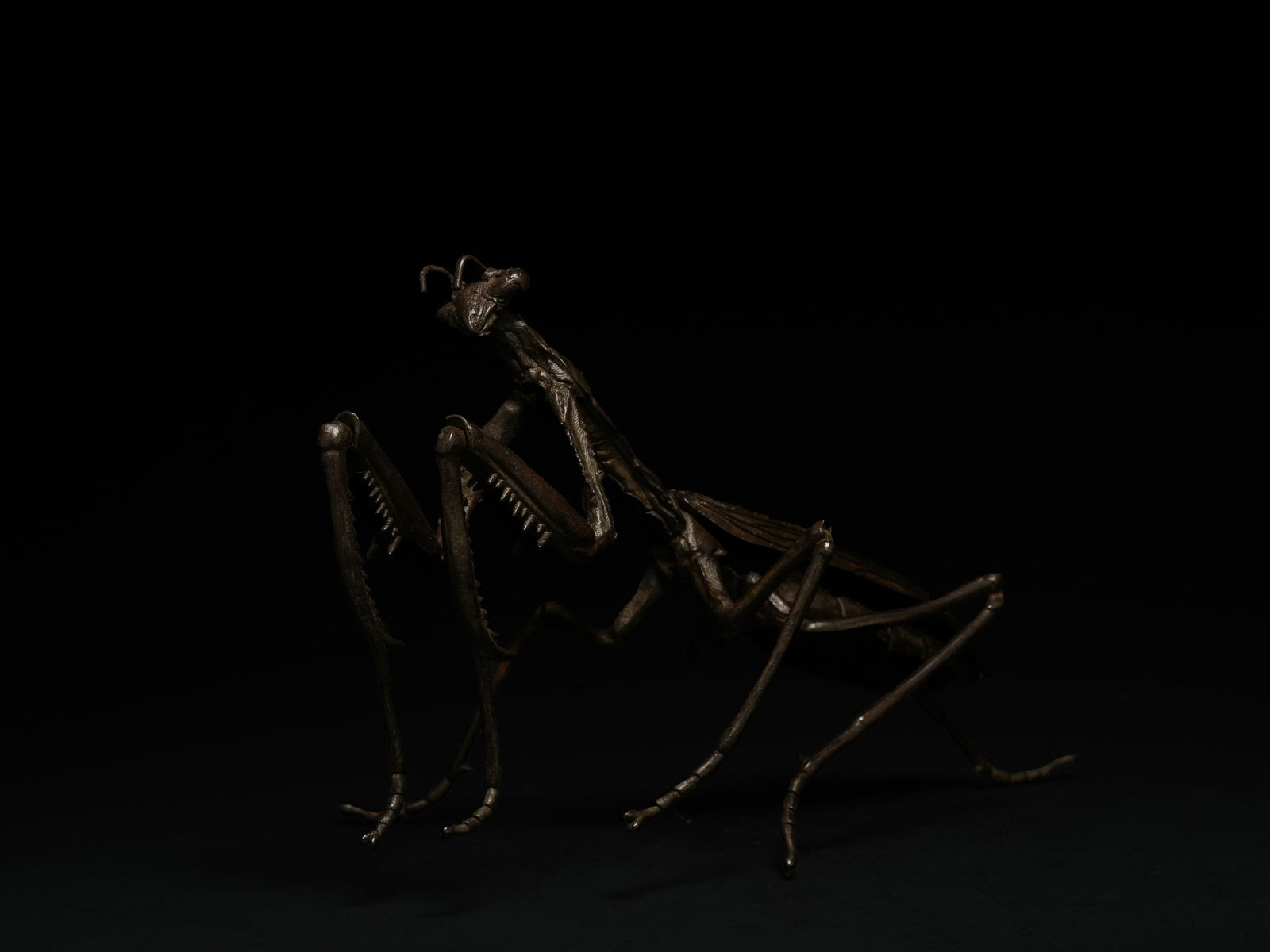A Japanese Bronze Okimono of an Articulated Praying Mantis. (1 of 4)