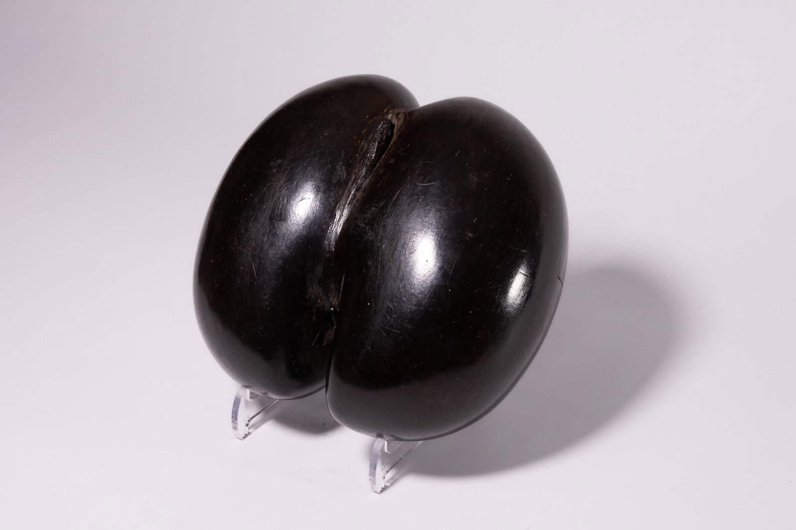 A POLISHED COCO DE MER (LODOICEA MALDIVICA) CASKET. (1 of 3)