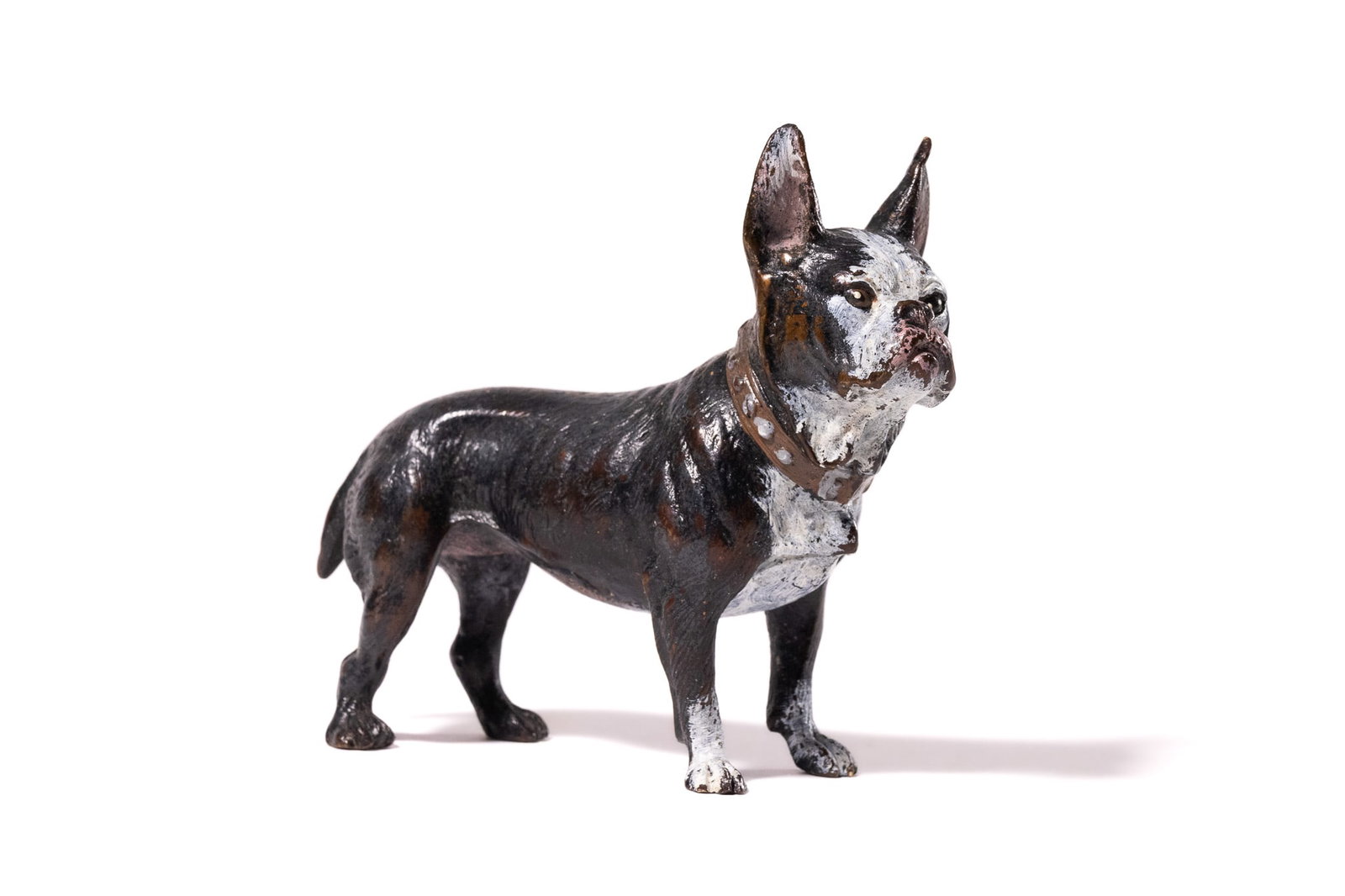 A COLD-PAINTED BRONZE MODEL OF A FRENCH BULLDOG. (1 of 4)