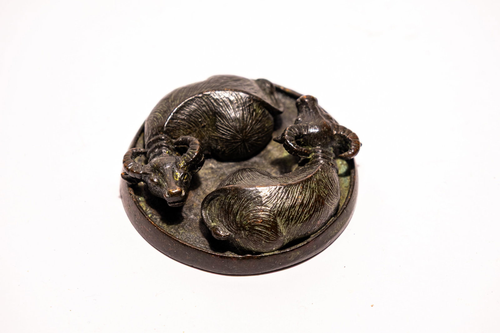 A CHINESE BRONZE CIRCULAR PAPERWEIGHT DEPICTING RECUMBENT WATER BUFFALO: A cast bronze circular decorative object of Chinese origin, likely serving as a paperweight or desk ornament. The upper surface features two recumbent water buffalo arranged head-to-tail in a circular