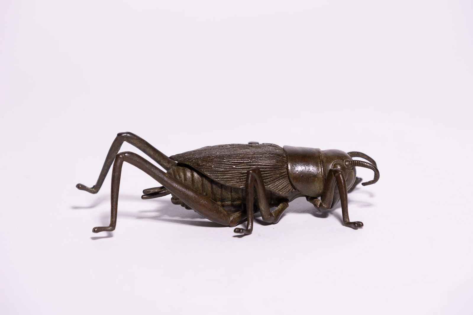 A JAPANESE MYOCHIN ARTICULATED BRONZE JIZAI OKIMONO CRICKET.: A Japanese bronze jizai okimono of a cricket. The figure is cast in a copper alloy with a deep brown patination and features a realistically modelled segmented body, textured wing cases, and long, mul