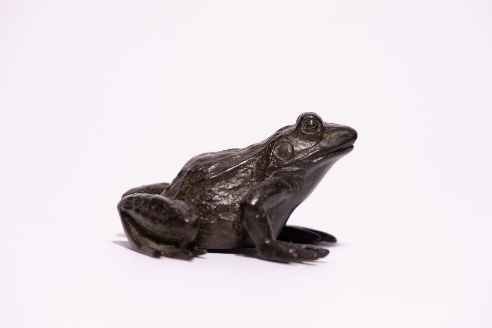 A JAPANESE BRONZE FROG OKIMONO.: A naturalistic cast bronze sculpture of a frog, depicted in a lifelike crouching pose with the head slightly upturned. The piece exhibits anatomical detail, including textured skin on the dorsal area,