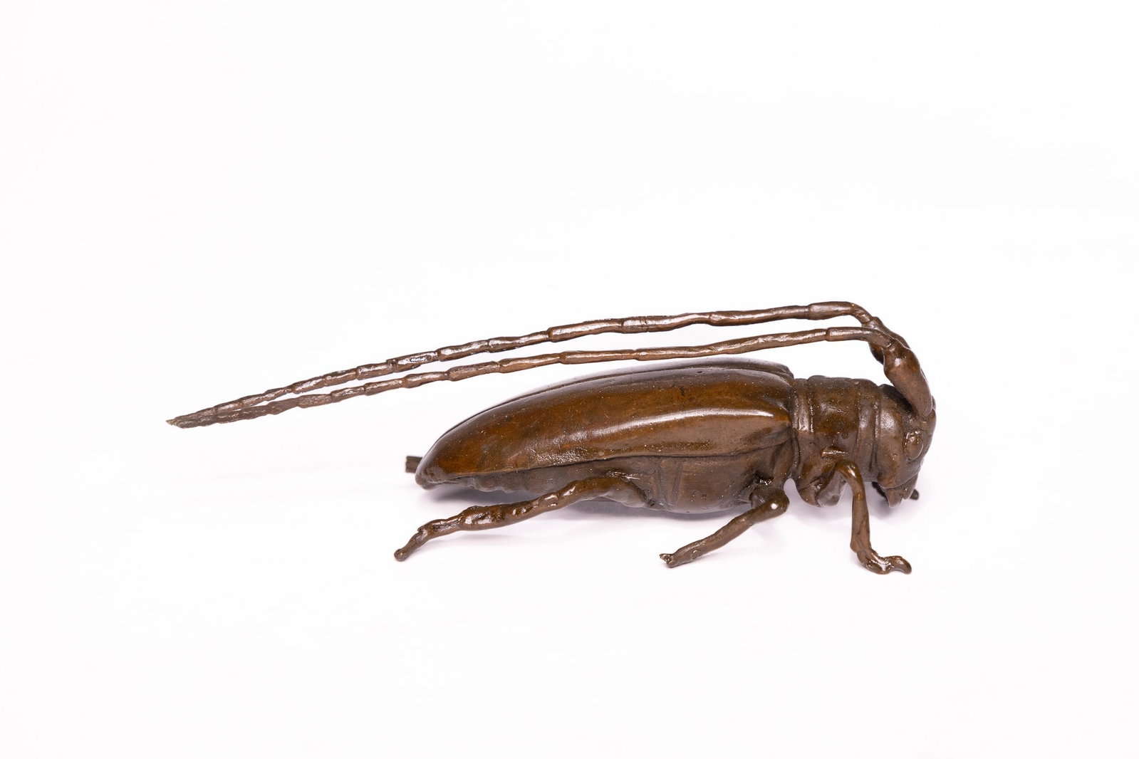 A JAPANESE BRONZE MODEL OF A LONGHORN BEETLE.: The bronze cast in the form of a longhorn beetle, depicted with an elongated body and finely articulated legs. The head is detailed with rounded eyes and prominent mandibles, surmounted by two long, g