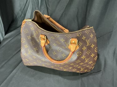 Louis Vuitton Monogram Speedy Handbag