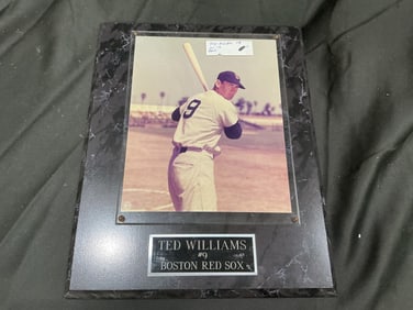 Ted Williams Boston Red Sox Plaque Photo