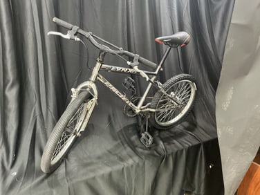 Pacific Lynx FS Chrome BMX Bicycle