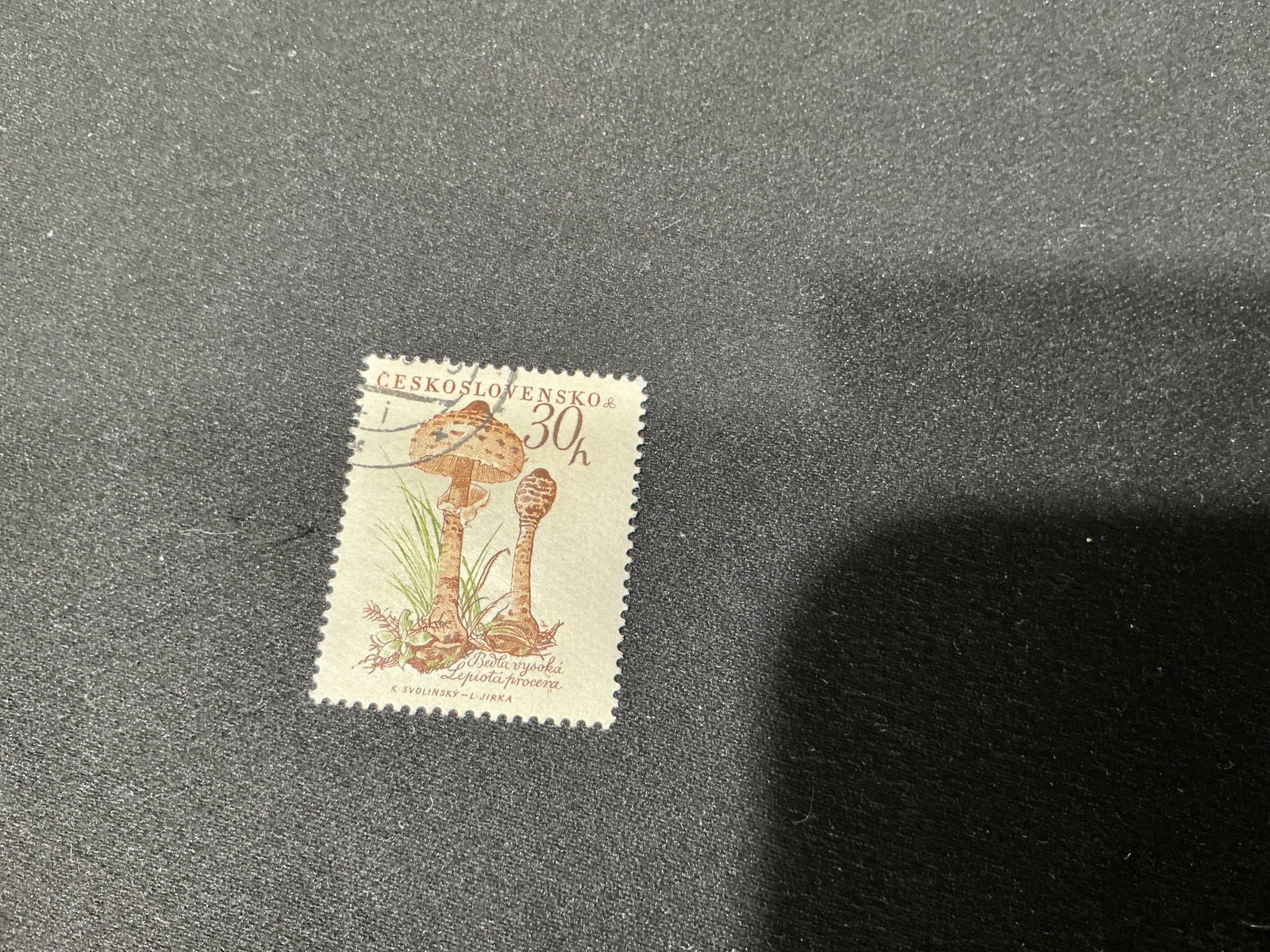 Czechoslovakia 30h Mushroom Stamp: Czechoslovak stamp featuring mushroom illustration (30h denomination), postally used.