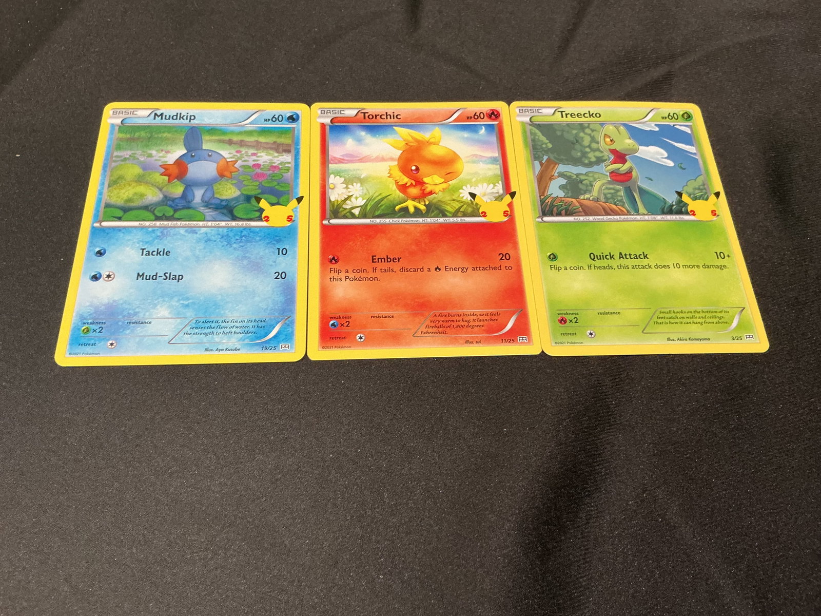 Trading Card Lot - Pokemon Mudkip Torchic Treecko gen 3 Starter Set (1 of 1)