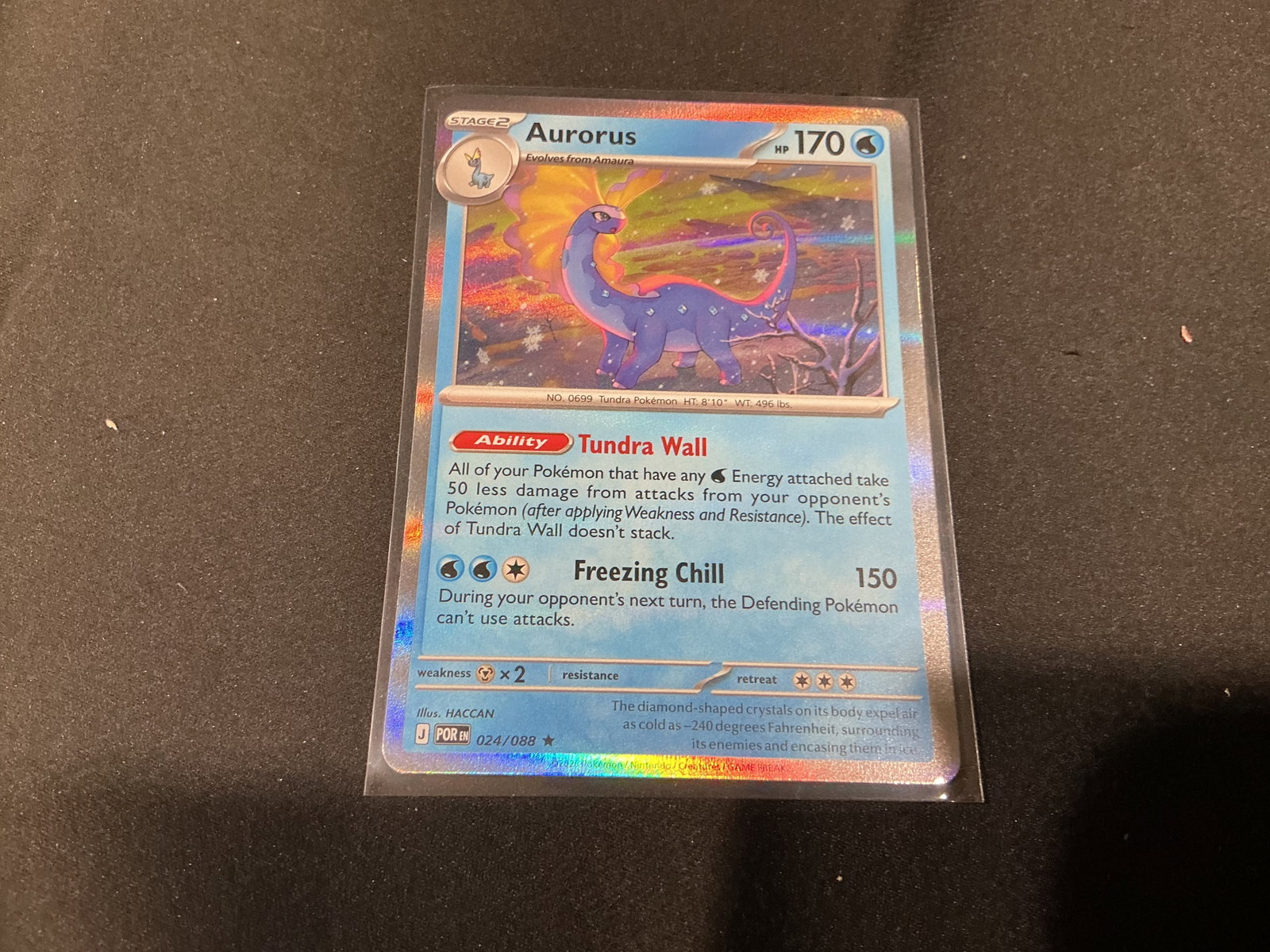 Pokemon Aurorus Holo Rare Card 024/088: Pokemon Aurorus holo rare card numbered 024/088 featuring colorful full-art style icy landscape artwork and foil finish. Modern Pokemon single with strong visual appeal for collectors building holo