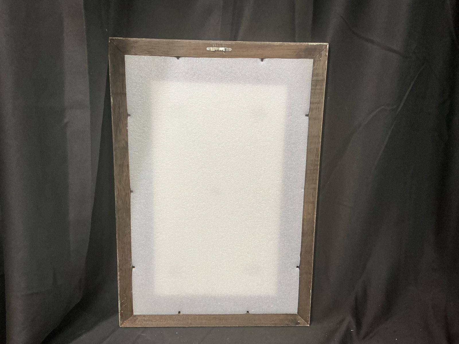 Framed Botanical Specimen Display - 2