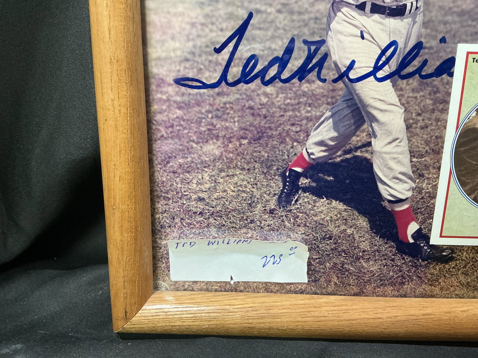 Ted Williams Framed Display - 2