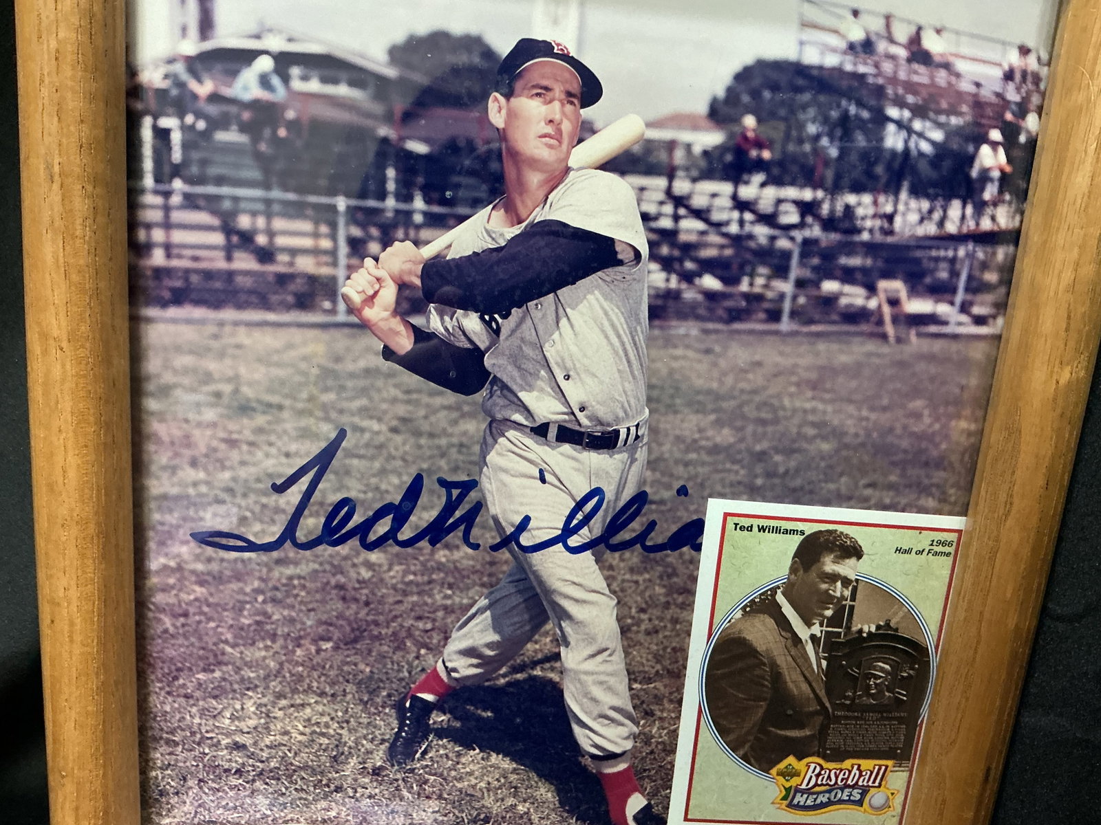Ted Williams Framed Display - 3
