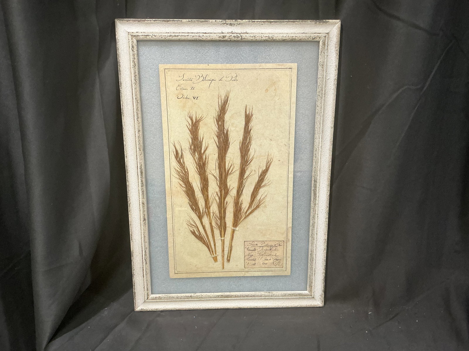 Framed Botanical Herbarium: Second appearance in our auctions, this framed botanical herbarium-style display features preserved floral specimens arranged on a manuscript-style background with a distressed finish. A decorative wa