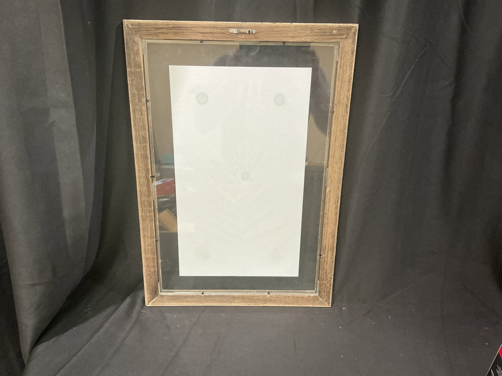 Framed Botanical Herbarium Display - 2
