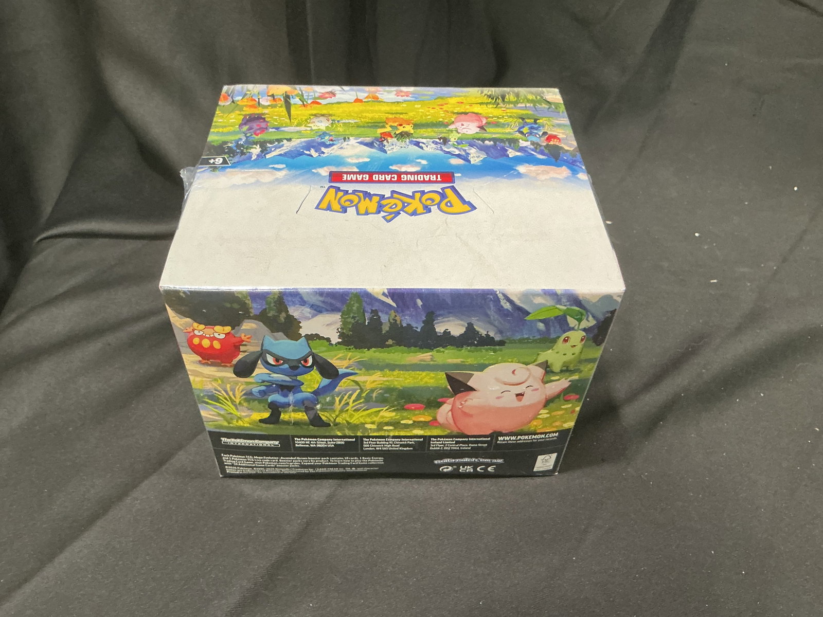 Ascended Heroes Mini Tin Display - 4