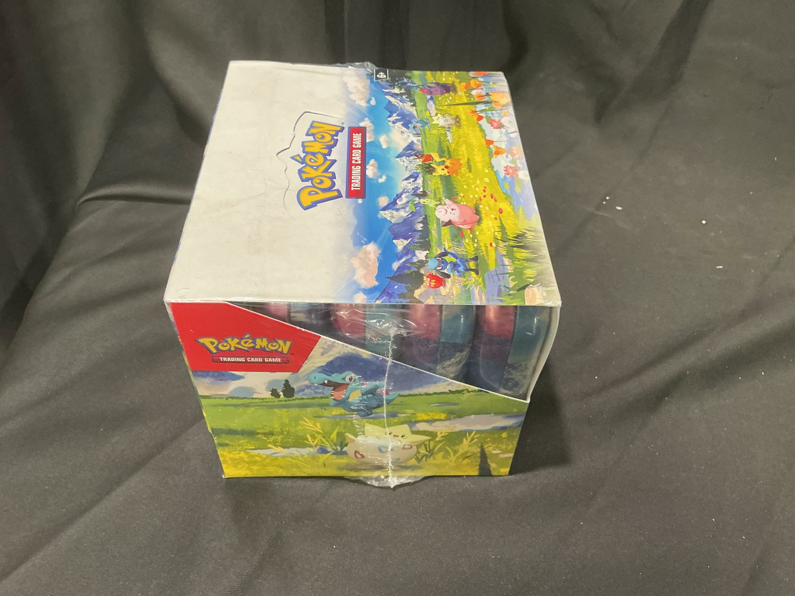 Ascended Heroes Mini Tin Display - 5