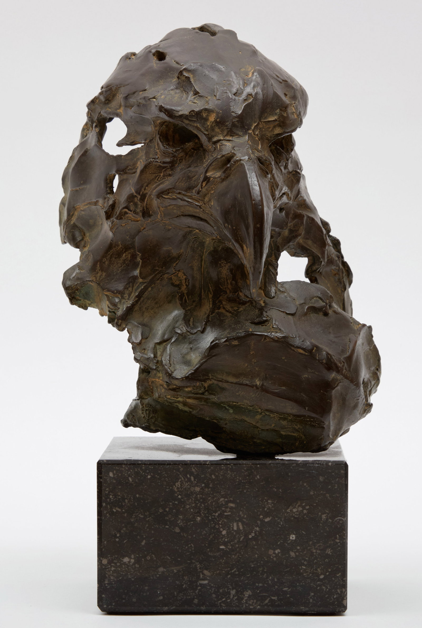 ERWIN PEETERS - Head of an Eagle - 2