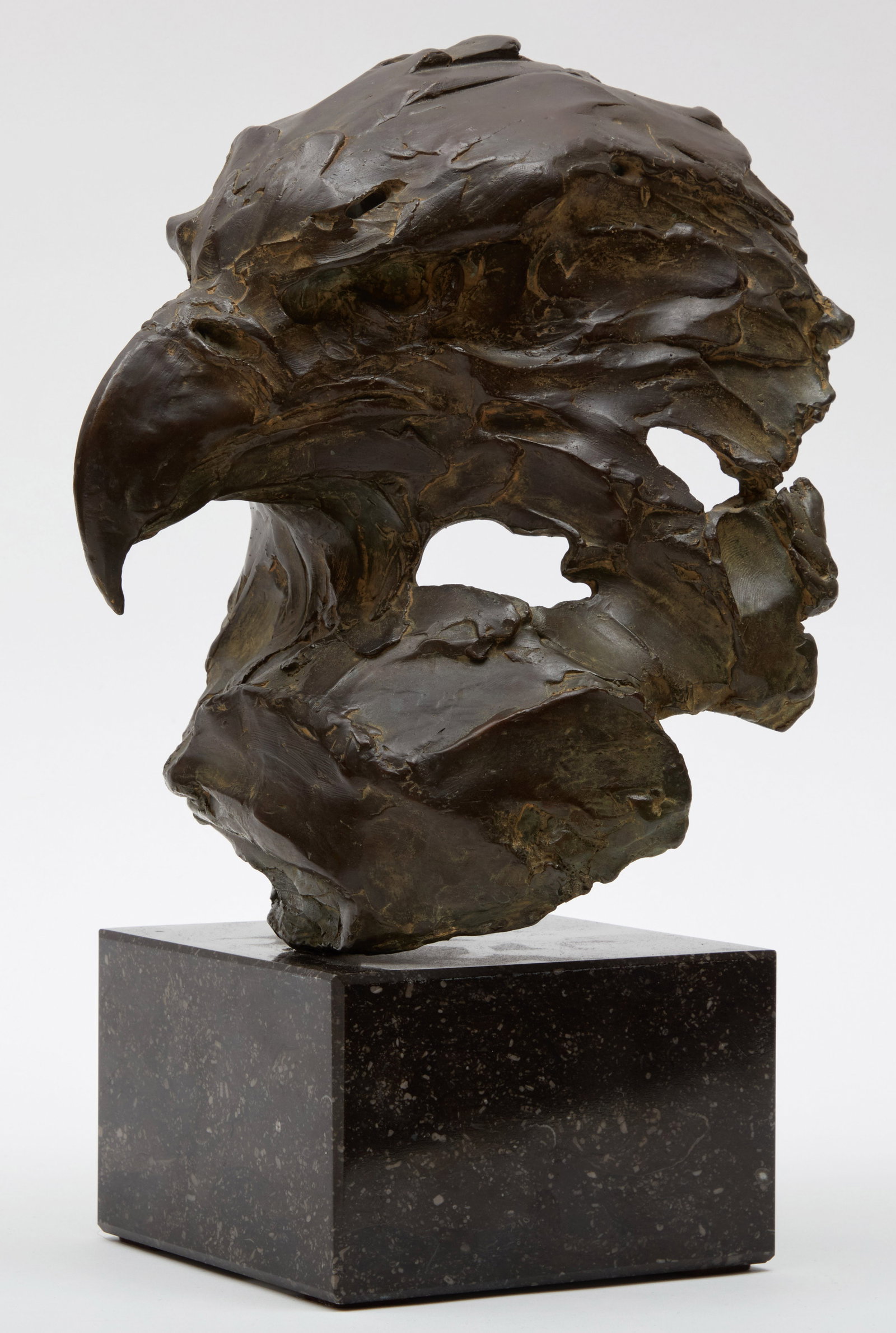 ERWIN PEETERS - Head of an Eagle - 3