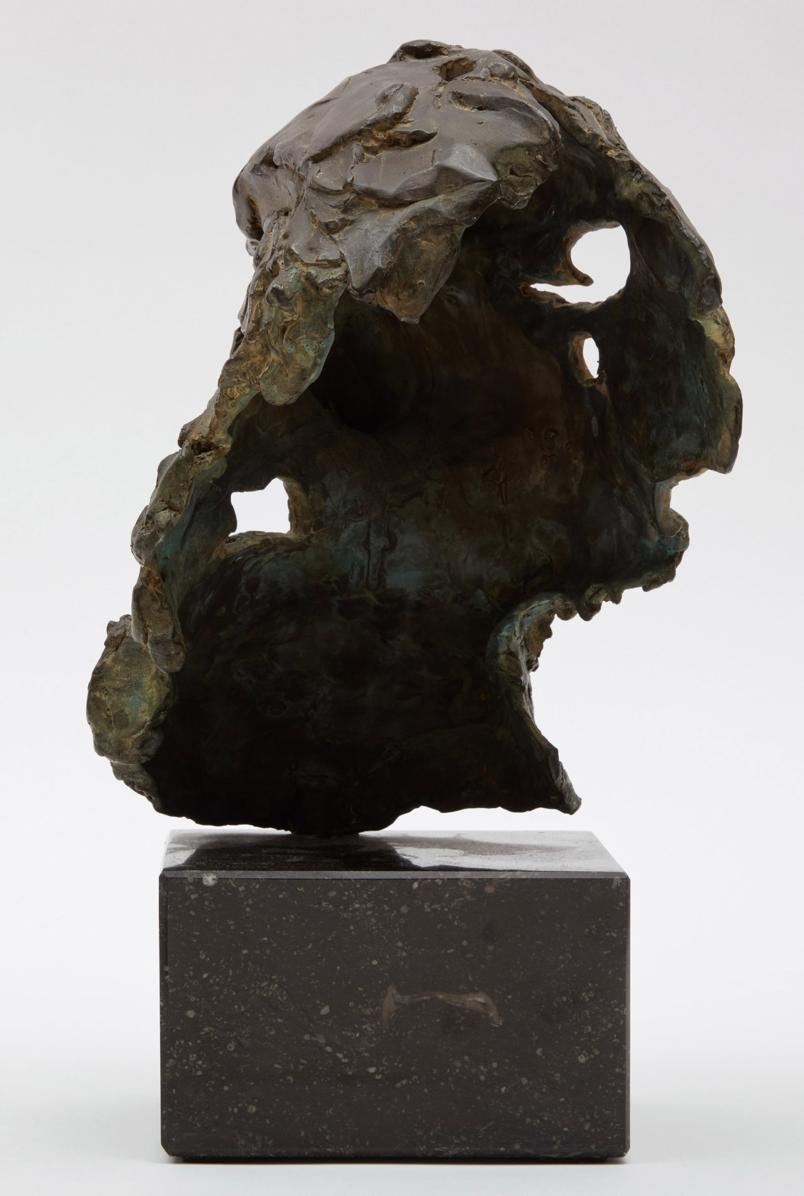 ERWIN PEETERS - Head of an Eagle - 4