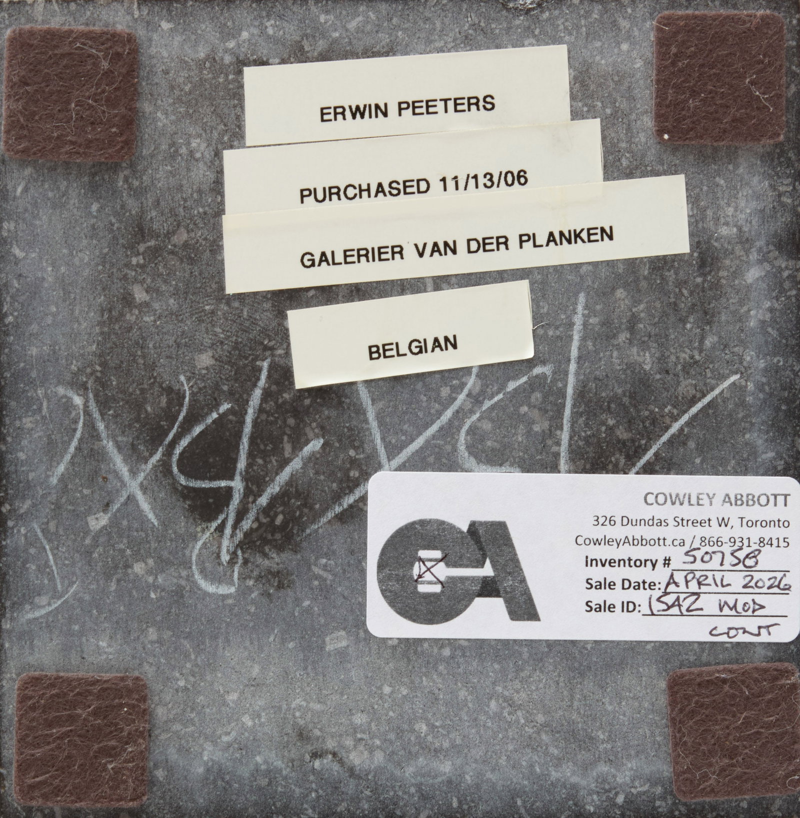 ERWIN PEETERS - Head of an Eagle - 5