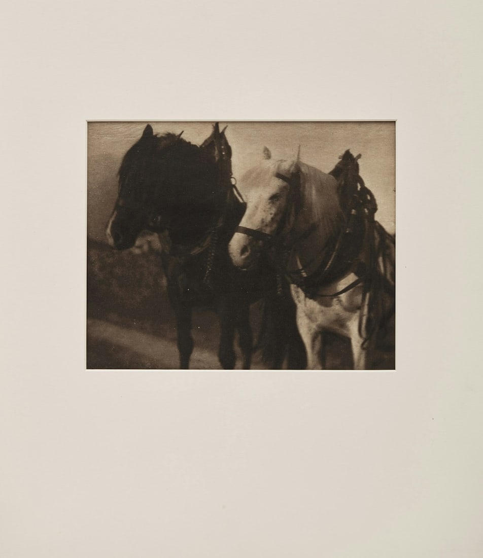 ALFRED STIEGLITZ - Horses (from Camera Work 12), 1905 - 2