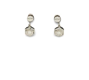 14K White Gold and Diamond Earrings