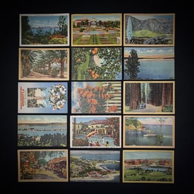 Lot of 14 Vintage CA & FL Linen Postcards