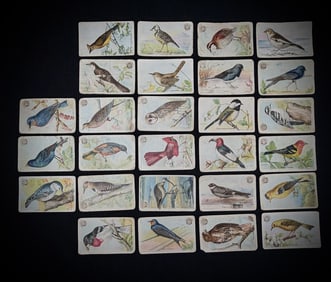 Arm & Hammer 'Useful Birds of America' Cards