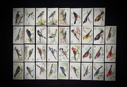 1915 Arm & Hammer Bird Cards, Lot of 32