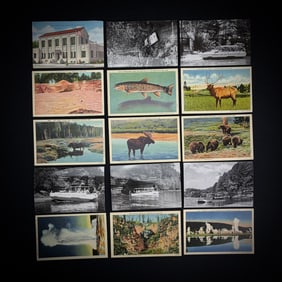 Vintage Postcard Lot: Midwest & Yellowstone