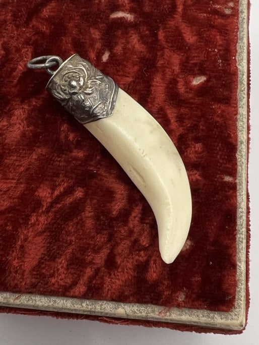 Estate Chinese Silver Export Boar's Tooth Pendant: Estate Chinese Silver Export Boar's Tooth Pendant. Mounted silver cap. Measures 2 inches in length with bail.