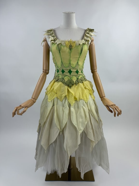 Vintage Hand Painted Dance Stage Costume Dress: Vintage Hand Painted Dance Stage Costume Dress. Boned through bust with hook closure down center back. Tiered petals through skirt with net crinoline underneath. Label in back reads 'NC Dance Theater 