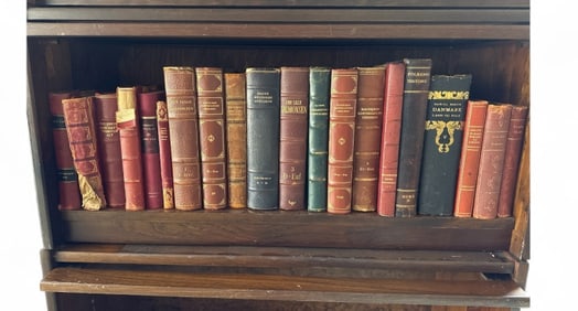 Library Shelf - Collection Antique & Vintage Books