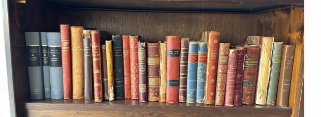 Library Shelf - Collection Antique & Vintage Books
