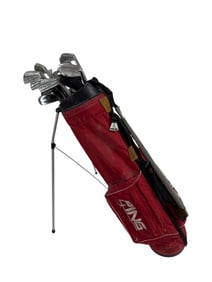 Collection of Vintage Golf Clubs in Golf Bag