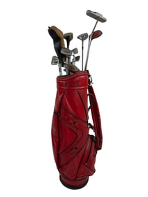 Collection of Vintage Golf Clubs in Golf Bag