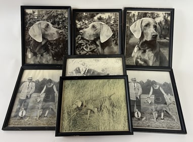 Vintage Mid Century Framed Dog Show Photographs