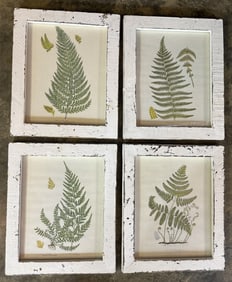 Set of Four Framed Fern Motif Botanical Prints
