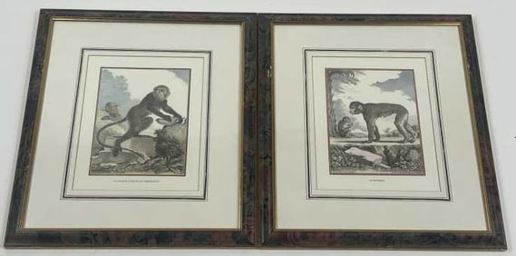 Georges Louis Leclerc Comte Buffon Monkey Prints