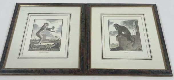 Georges Louis Leclerc Comte Buffon Monkey Prints