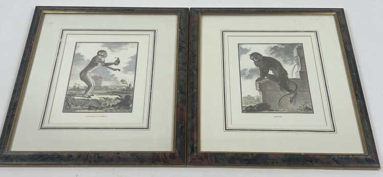 Georges Louis Leclerc Comte Buffon Monkey Prints (1 of 5)