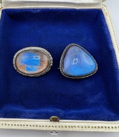 Two Antique Sterling & Butterfly Wing Brooch Pins