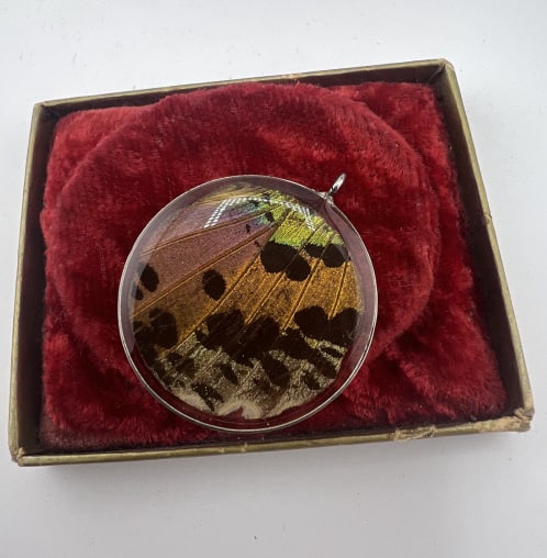 Silver Cased Butterfly Wing Necklace Pendant: Silver Cased Butterfly Wing Necklace Pendant.Vintage necklace pendant with natural butterfly wing specimen encased within a silver frame. Measures 1.25 inches in diameter.