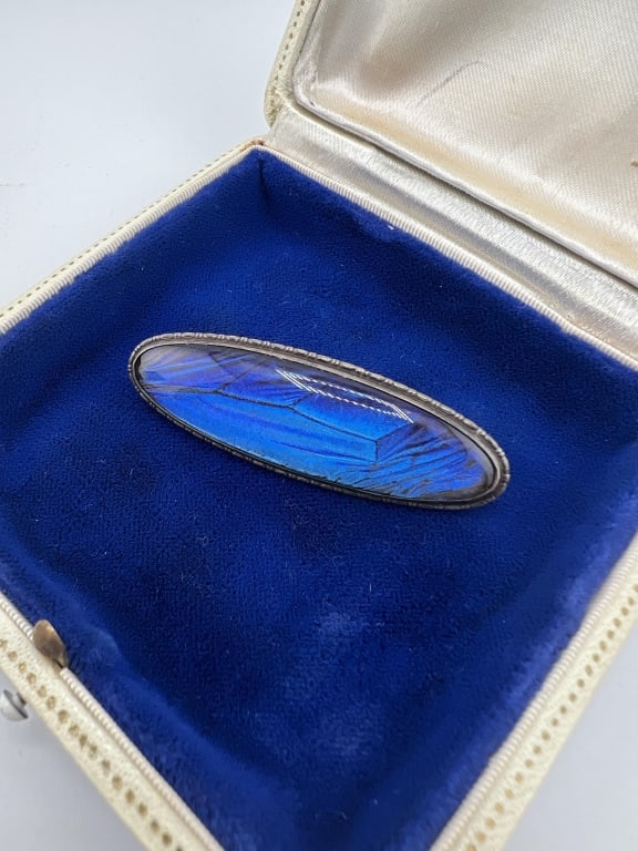 Antique English Sterling & Butterfly Wing Brooch: Antique English Sterling & Butterfly Wing Brooch. Sterling silver with domed crystal over natural butterfly wing. Marked England Sterling on the back. Measures 2 inches in width.